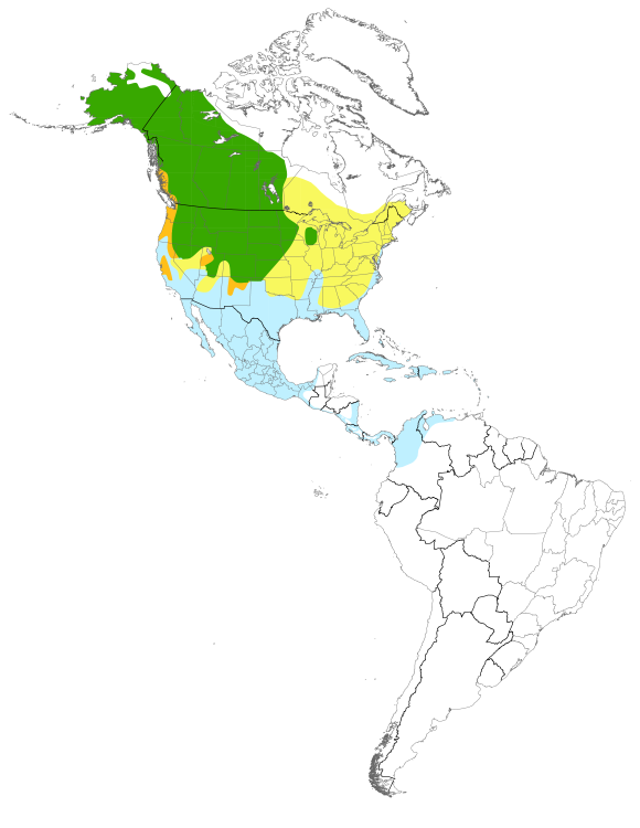 Map displaying the species distribution or migratory routes