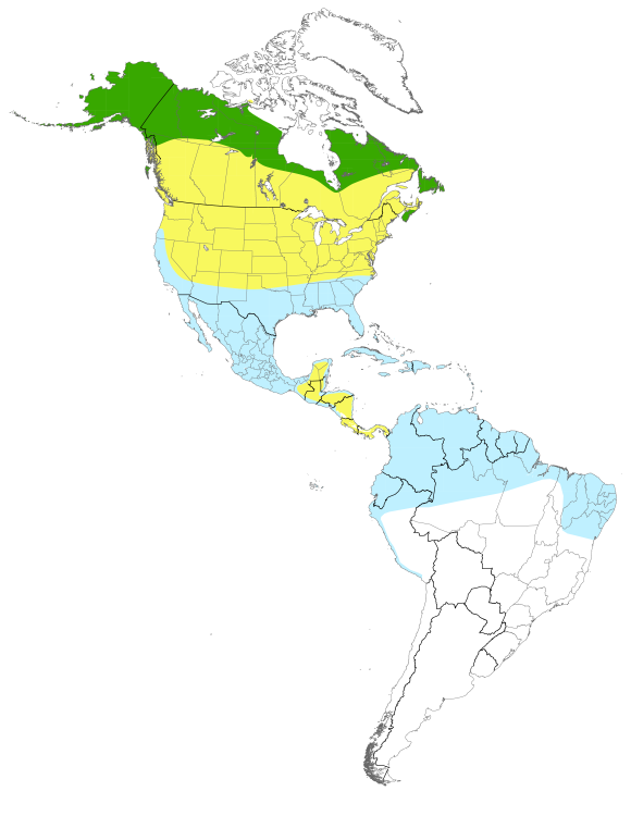 Map displaying the species distribution or migratory routes