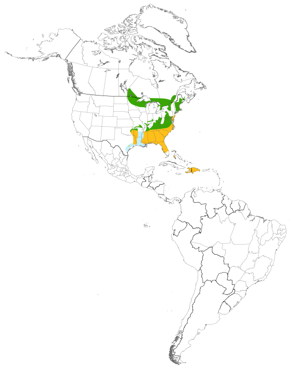 Map displaying the species distribution or migratory routes