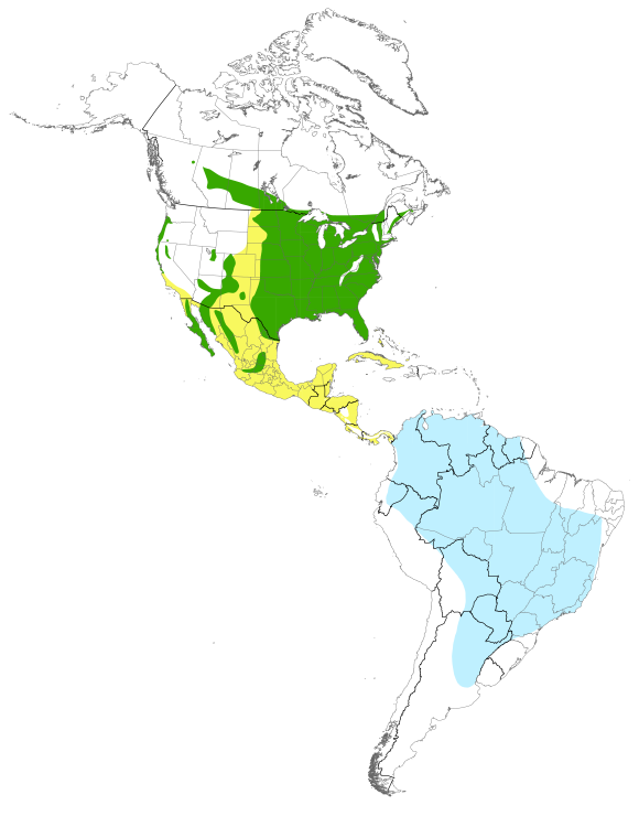 Map displaying the species distribution or migratory routes