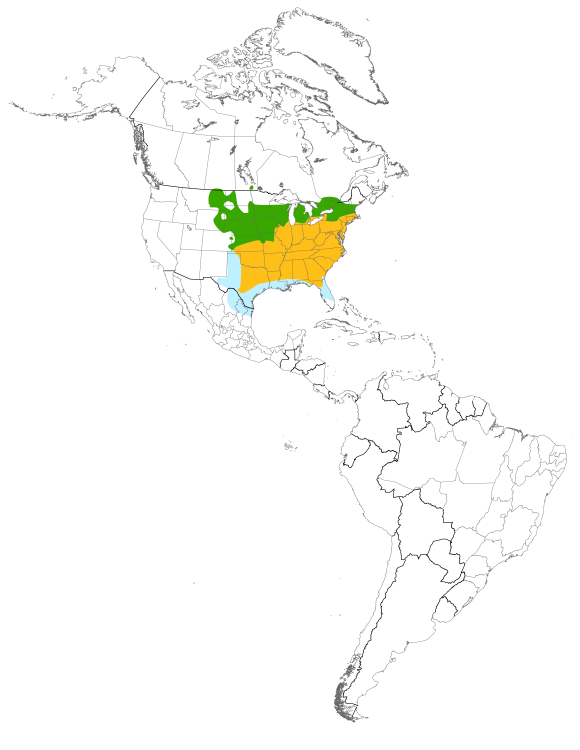 Map displaying the species distribution or migratory routes