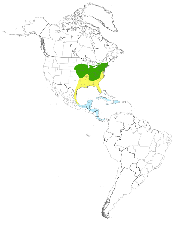 Map displaying the species distribution or migratory routes