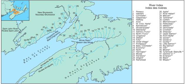 Wild salmon return to inner Bay of Fundy following Indigenous-led efforts  [audio] – NB Media Co-op