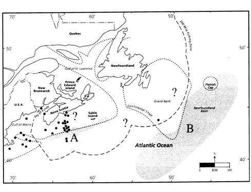 Map showing occurrences of Loggerhead Sea Turtles off eastern Canada, based on published literature and unpublished sightings.