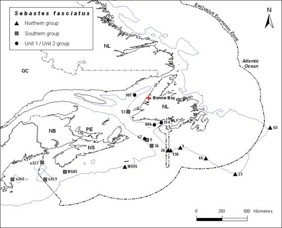 Map showing the location of Acadian Redfish genetic groups from the proposed Atlantic designatable unit, as well as the location of the proposed Bonne Bay designatable unit.