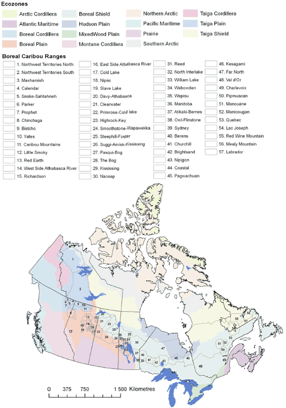 Figure 5. A map showing the location of the 57 boreal caribou ranges relative to 15 ecozones in Canada.