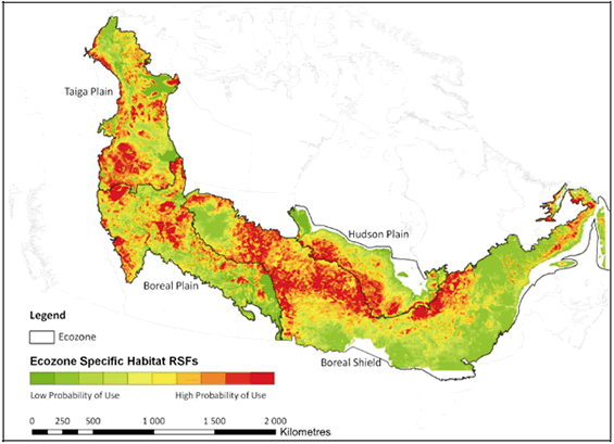 Figure 6. Graphic representation of the results from the national resource selection model for boreal caribou in Canada showing areas with a low probability of caribou use in green, intermediate caribou use in yellow/orange and high use in red.