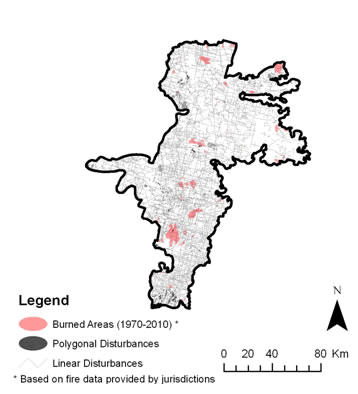 Figure 16. a) map showing areas affected by fire and by linear and polygonal anthropogenic disturbance and b) the probability that the population growth rate is either stable or positive (Pr (λ ≥ stable)) as a function of percent (%) total disturbance based on four (4) hypothetical habitat dynamic scenarios: (1) Current: static conditions;  (2) Recovery Only: passive recovery of old disturbances; (3) Natural Disturbance Only (Nat. Dist. Only): new disturbances created by fire without passive recovery; and (4) Recovery + Nat. Dist.: the combined effects of new fires and passive recovery of old disturbances, averaged for three time intervals (1-20, 21-50, 51-100 yrs). This example is for the West-side Athabasca River caribou range.